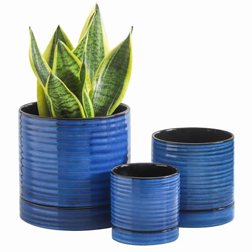 Hasense Juego de 3 macetas de cerámica, 8/6/4.6 pulgadas, para interiores y exteriores, con agujeros de drenaje y platillo, maceta moderna para suculentas orquídeas, hierbas, cactus, color azul
