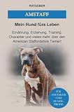  Amstaff: Ernährung, Erziehung, Pflege, Training und vieles mehr über den American Staffordshire Terrier!