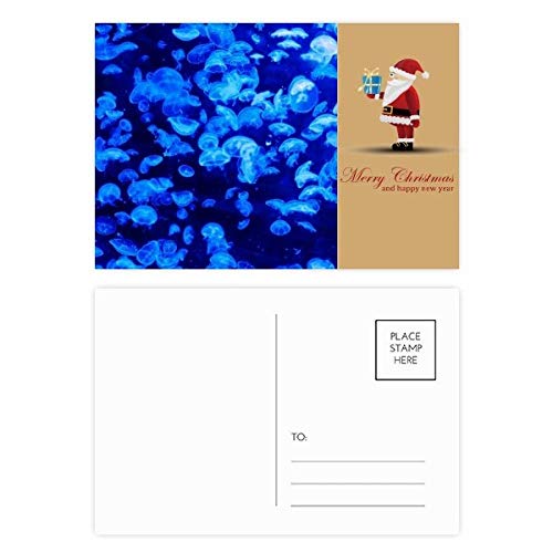 Cartes postales méduses Blue Science Nature : l'idée cadeau idéale pour amateurs de papeterie