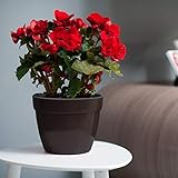 DECOPOTS - 10.6 Inch Self Watering Planter - Modern Flower Pot with Water Level Indicator for All Ho