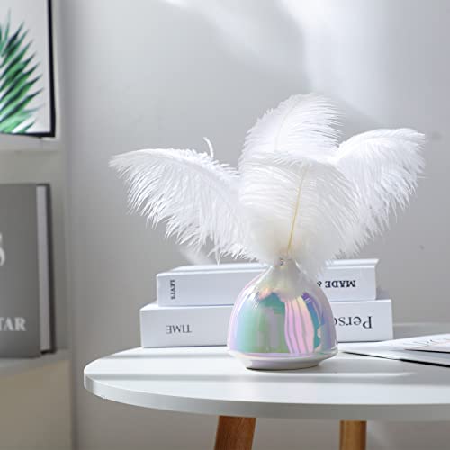48 Pcs Natural Ostrich Feathers 10-12 Inch (25-30 Cm) Large Feathers For Crafts Feather Centerpieces For Tables Feather Plume For Vases Wedding Party Tree Decorations (White) #TOP3