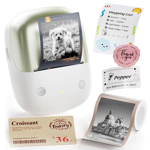 NIIMBOT B2 Pro Label Maker Machine, 300 DPI High Definition, Portable Thermal Label Printer with Fun APP for Photos, Scrapbook, Home,School Oragnization (Apple Green)