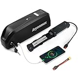 Batteria Ebike 48V 20AH con Caricabatterie Piastra Base 4Pin e Cella Grado A, Batteria Litio Hailong Lunga Durata per Bici Elettrica Bicicletta