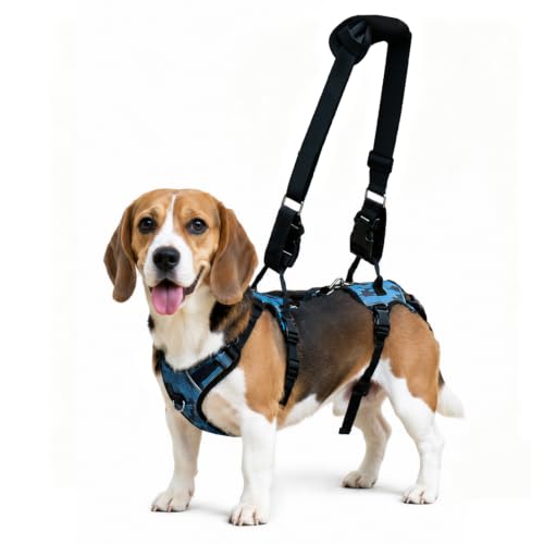 Dog Lift Harness for Senior Dogs, Full Body Support & Mobility Aid（Blue,M）