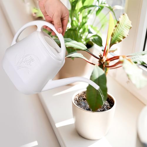 Image of Plastic Watering Can - for Indoor and Outdoor Plant - 1 /2 Gallon - White
