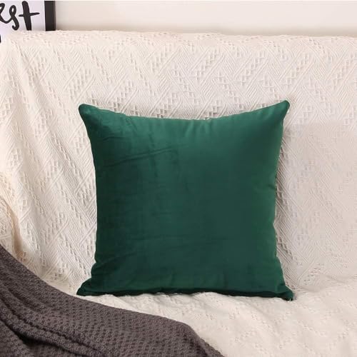 Image of Cushion Covers Velvet Set of 3, 16 inch x 16 inch (Green)