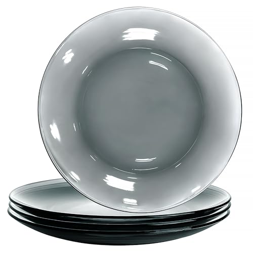 STP GOODS Glass Plates Set of 4 – Borosilicate Salad & Dessert Plates, Transparent Glass Appetizer Plates, Microwave & Dishwasher Safe Tableware