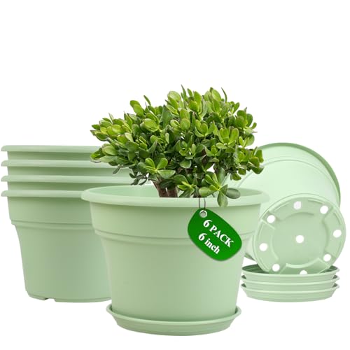 6 Inch Plastic-Flower Pot-for-Indoor Plants, 6 Pack Outdoor Plant Pots with Drainage Holes & Saucers, Resin Garden Pots Planters