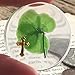 KIN-HEBI Real Four Leaf Clover Good Luck Pocket Token, Preserved, 1.25”, Including Metal Cross Object (Gold)