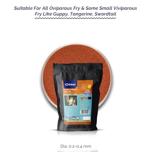 Image of Intan Breeder & Grower Food - B2 (0.2-0.4mm Slow Sinking Crumble) | 5Kg - Highly Nutritious Ornamental Fish Food for A Range of Feed from Fry to Grow Out Stage for Viviparous & Oviparous Fish