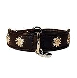 STILHUND LIFESTYLE FÜR HUND & HALTER