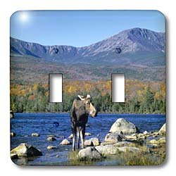 Interrupteur à bascule double Vache orignal Mt Katahdin 3dRose lsp_90643_2