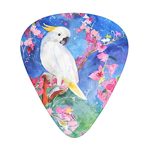 Ensemble de 12 médiators de guitare de belle fleur d’oiseau cacatoès pour guitare acoustique, guitare électrique… - Les Beatles, Paul McCartney, John Lennon, RIngo Starr, George Harrison Ensemble de 12 médiators de guitare de belle fleur d'oiseau cacatoès pour guitare acoustique, guitare électrique…