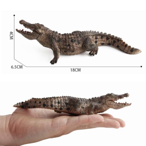 Image of FUNFOB Crocodile Toys Figure Width -19cm Crocodile Action Figures Wild Animal Toy for Kids & Adults PVC Multicolour | Croco dile