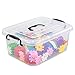 Bringer 2-Pack Plastic Storage Boxes, 8 L Clear Latch Boxes