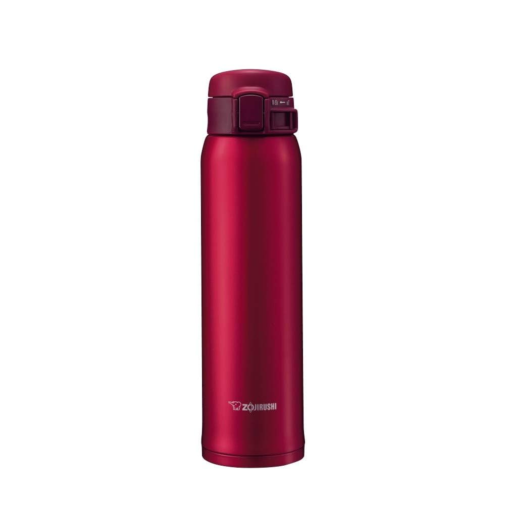 Amazon.com: Zojirushi Stainless Mug, 1 Count (Pack of 1
