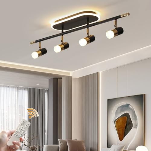 track lighting pendants