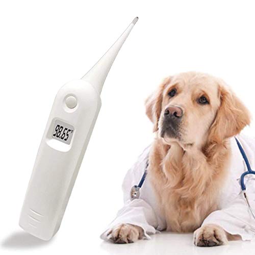 Fast Vet Thermometer for Birds, Cattle, Sheep, Horses, Temperature Reading in 6-8 Second with Celsius or Fahrenheit Units, Measurement site,Anus,Mouth