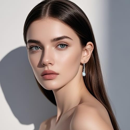 Infinity Butterfly Leverback Earrings for Women 925 Sterling Silver Infinity Teardrop Dangle Earrings Butterfly Jewelry Gifts for Mother Women Wife Her4