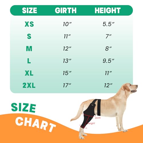 Image of Dog Rear Leg Sleeve to Stop Licking, Hind Leg Protector After TPLO Recovery, ACL Surgery, Wounds or Skin Issues, Soft Breathable Comfortable Cover for Large Medium Small Dogs, S,Right, Matte Black