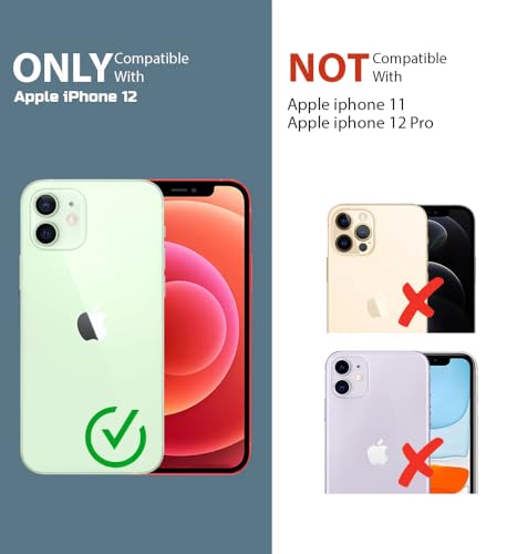 Image of GoldKart Magnetic Matte Translucent Back Cover Case for iPhone 12 | MagSafe Compatible | Shockproof Hybrid Bumper | Camera Lens Protection | Anti-Fingerprint Slim Protective Case (Black)