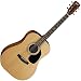 Standard AD810-OP Drednought Spruce Top Mah B&S Open Pore