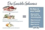 Happy Dog Sensible Africa M 2X 4 kg - Trockenfutter, Geschmacksrichtung Strauss