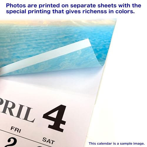 Calendário japonês 2025 - lindo Japão, 50,8 cm x 76,2 cm, calendário de parede de 2 meses, estampa l