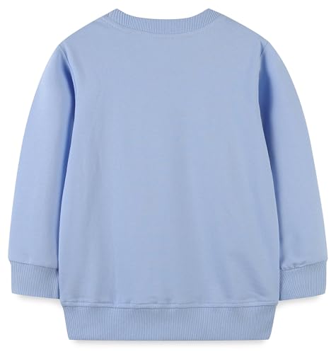 Image of Hongshilian Unisex Kids Cute Cartoon Cotton Sweater Shirt