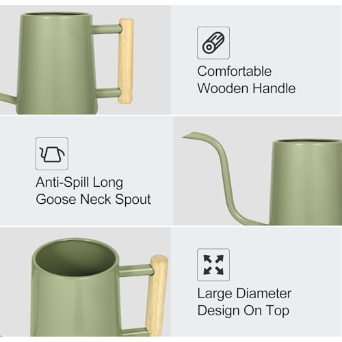 Image of Watering Can Indoor Plants, 35 oz /1000 ml Metal Stainless Steel Watering Can Pot with Long Spout for Indoor House Plants Bonsai Outdoor Garden Flower Decorative (Sage Green)