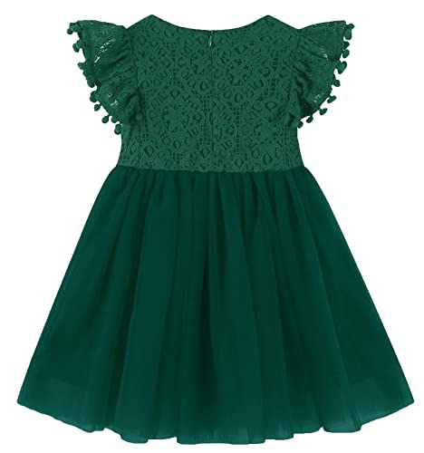 Image of Toddler Girls Lace Tulle Dress Baby Girl Elegant Flutter Sleeve Party Princess Dresses