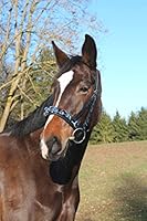 Kerbl Leder, Exklusiv VB, Incl. Gebissriemen Kappzaum, Schwarz, Vollblut