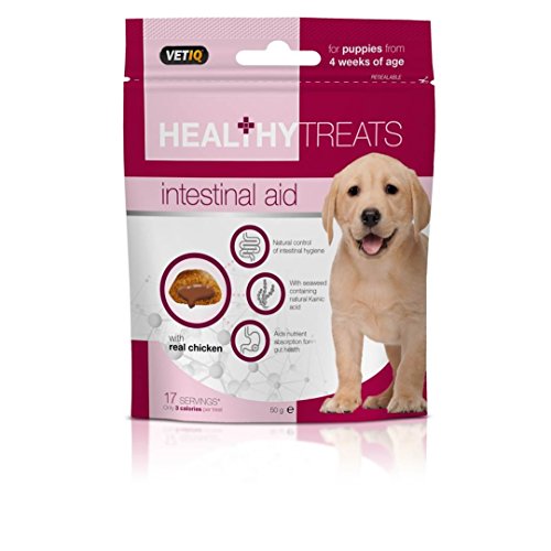 Mark & Chappell VetIQ - Bocaditos Healthy Treats salud intestinal para cachorros (50g) (Variado)