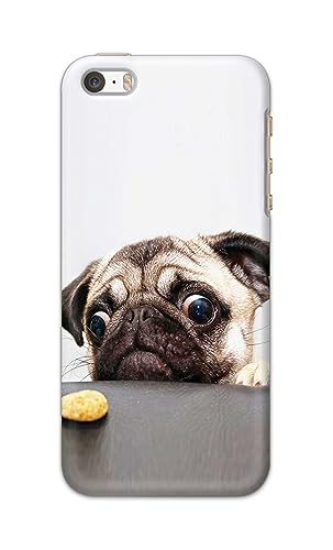 Image of PRINTFIDAA� Printed Hard Back Cover Case for Apple iPhone 5 | iPhone 5S | iPhone SE 2016 Back Cover (Pug Dog) -2808