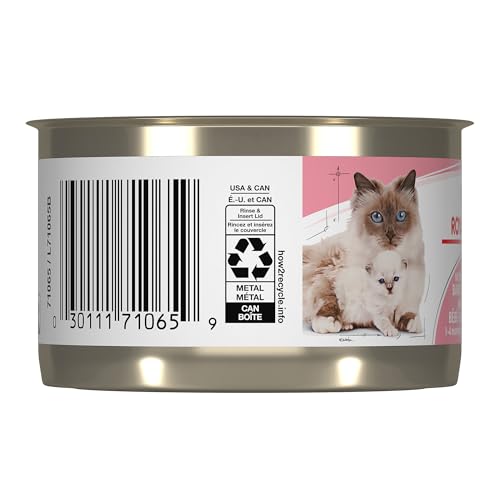 Royal Canin Feline Health Nutrition Mother & Babycat Ultra Soft Mousse in Sauce Canned Cat Food, 5.1 oz can (24-Count) by ROYAL CANIN - Image 2