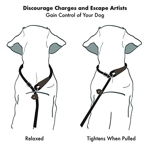 Friends Forever Extremely Durable Dog Rope Leash, Premium Quality Training Slip Lead, Reflective, Thick Heavy Duty, Sturdy, No Pull, Comfortable For The Strong Large Medium Small Pets 6 Feet, Black #TOP4