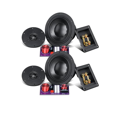 HiVi-Swans DlY2.2-Speaker kit — Home Theater Rear/Side Speaker for 5.1/7.1/11.1 Setup, 2.2 Crossover, German High-Frequency Driver —(Drivers Only; Enclosure Required)
