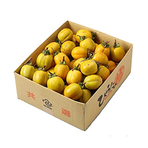 ` a` `pZbg }t  ݂邵Rt Ɩ󂠂 傫܂ 7.0kg RY Y