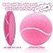 Large Dog Tennis Ball,9.5