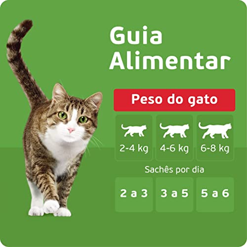 Pack Ração Úmida Kitekat Sachê Frango ao Molho para Gatos Adultos 70 g - 48 unidades