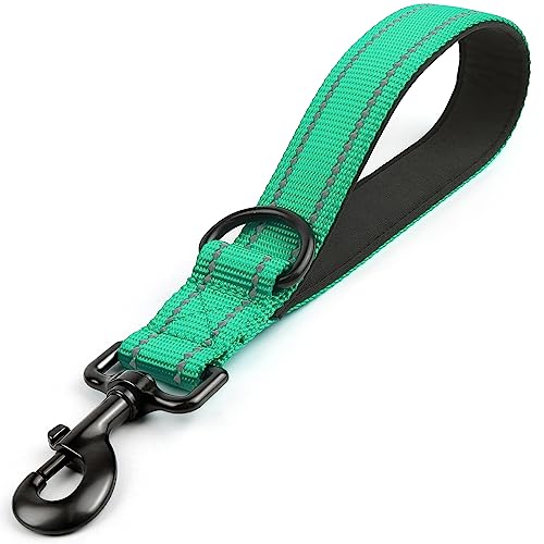Joytale Short Dog Leash for Close Control & Training, 12", Teal