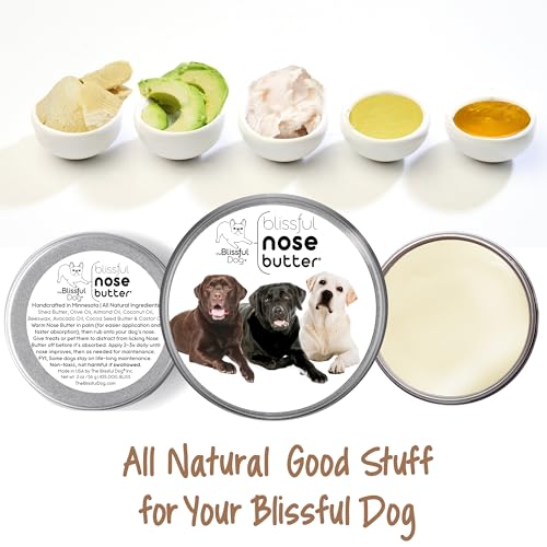 Image of The Blissful Dog Labrador Retriever Unscented Nose Butter - Dog Nose Butter, 16 Ounce