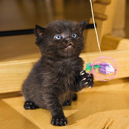Balacoo 5 peças de brinquedos de pelúcia para gatos, brinquedo de brinquedo de brinquedo de gato fal