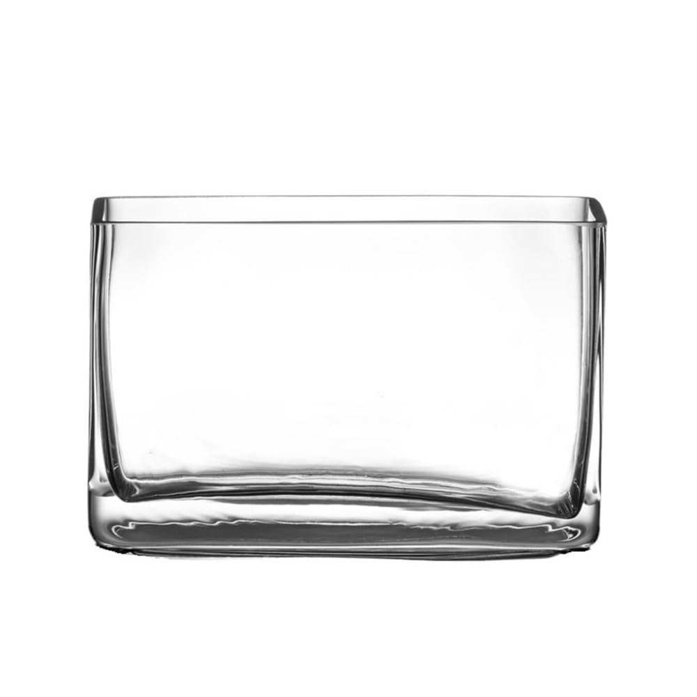 Aquarium Kleines rechteckiges Mini-Aquarium aus Glas for Wohnzimmer, Schreibtisch, kreativer Kampffisch