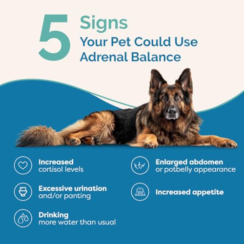 Image of PranaPets Adrenal Balance for Dogs with Cushing's | Naturally Relieves Symptoms of Cushing's in Dogs | Herbal Formula for Dogs with Cushing's