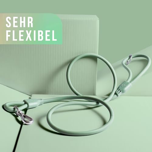 ne&no® Hundeleine 1,5 m Loft Design, schmutz- & wasserfest, Führleine für Hunde, Dog Leash, grün