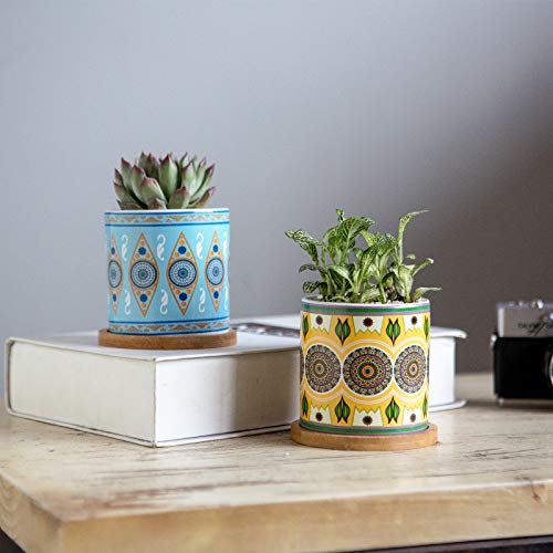 Coloapt Succulent Plant Pots - 3.1 Inch Ceramic Succulent Planter -Cylinder Flower Pots For Cactus With Drainage Hole And Bamboo Tray, 6 Pack (Multicolor1) #TOP5