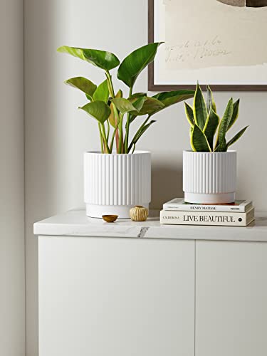 Image of LE TAUCI Ceramic Pots for Plants, 8+6.7+5.5 Inch Plant Pots Indoor, Flower Pot with Drainage Holes, Medium Cylinder Planters for Indoor House Plants, Set of 3, White