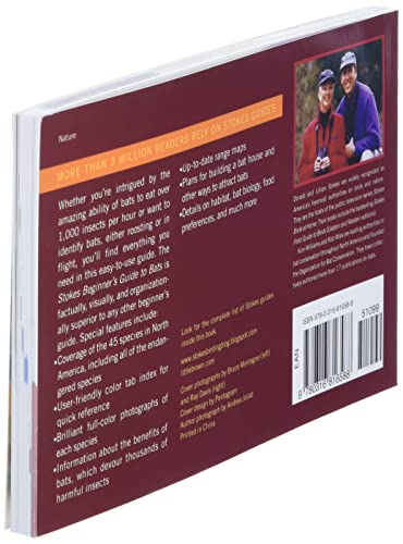 Stokes Beginner's Guide To Bats #TOP3