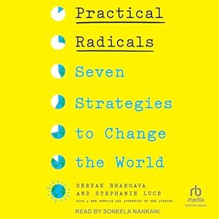 Practical Radicals cover art